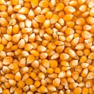 Maiz Pisingallo 500gr