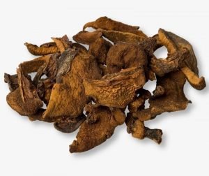 Hongos Secos Pino - 50gr
