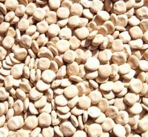 Lupines - 500gr