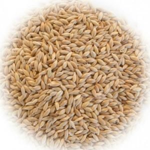 Alpiste En Grano - 200gr